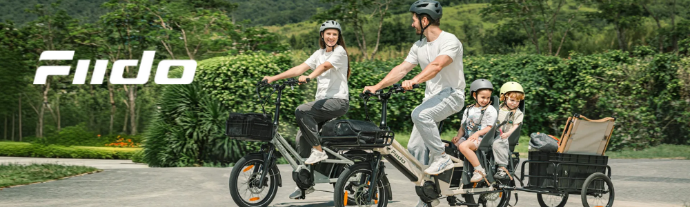 Fiido-ebike